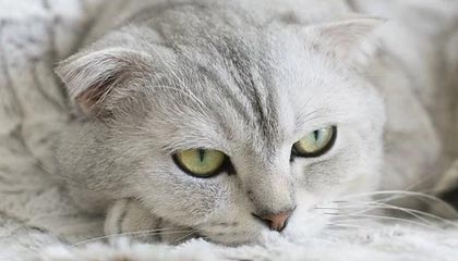 _B体育官网_ NBA与科技：数据分析的崛起_，b0b体育